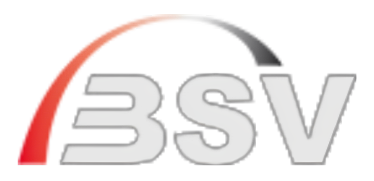 BSV Software
