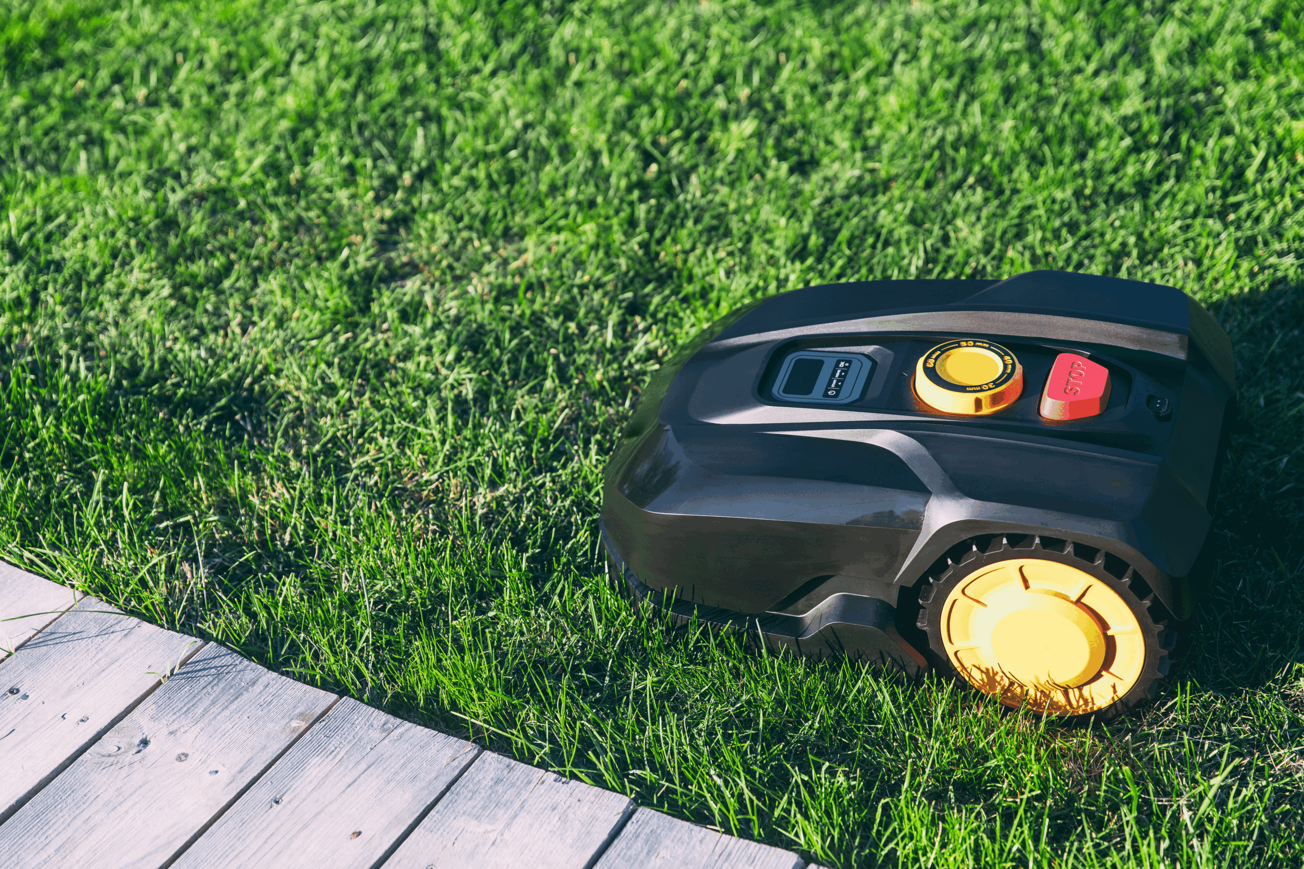 robotic-lawn-mower-cutting-grass-in-the-garden-2021-09-03-18-56-37-utc